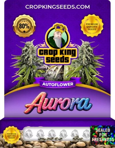 Aurora Autoflowering