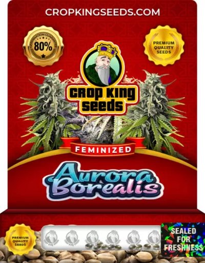 Aurora Borealis