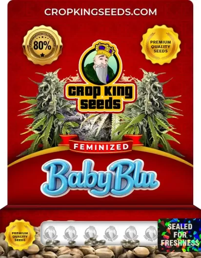 baby-blu-image
