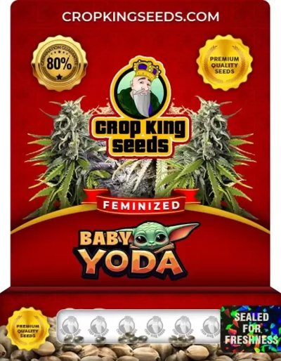Baby Yoda