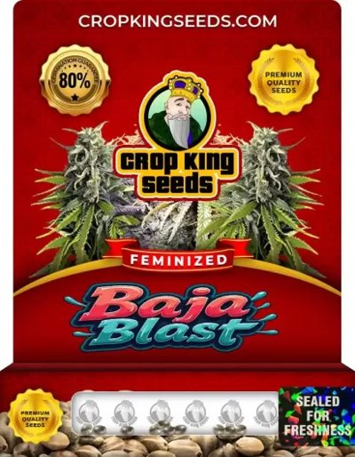Baja Blast