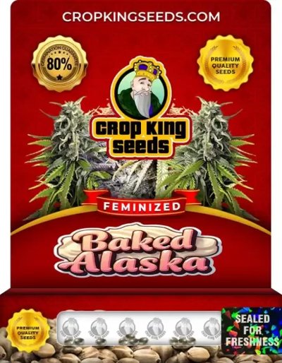Baked Alaska