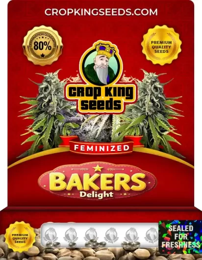 bakers-delight-image
