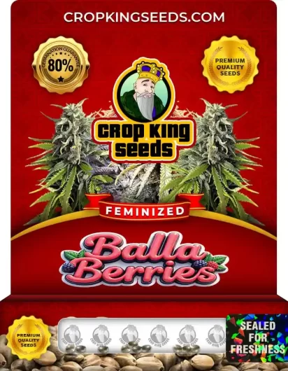 balla-berries-image