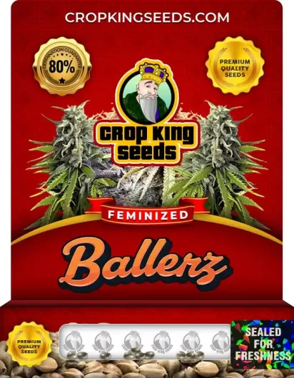 ballerz-image