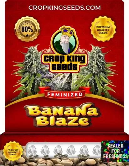 banana-blaze-image