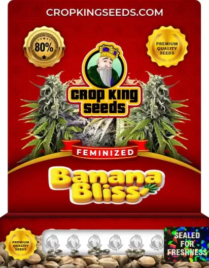 banana-bliss-image