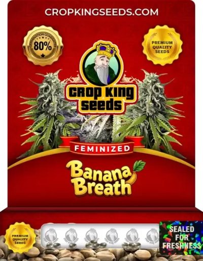 Banana Breath