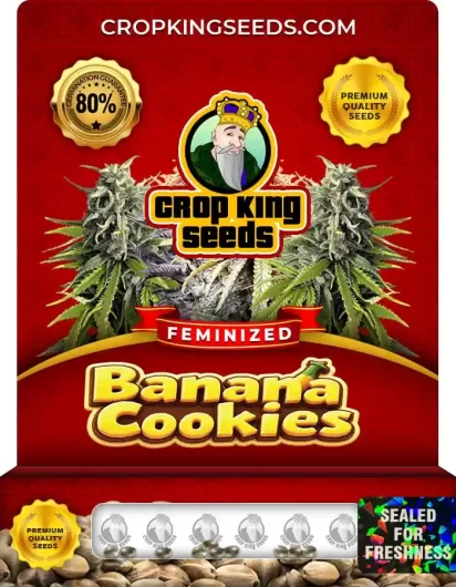 banana-cookies-image