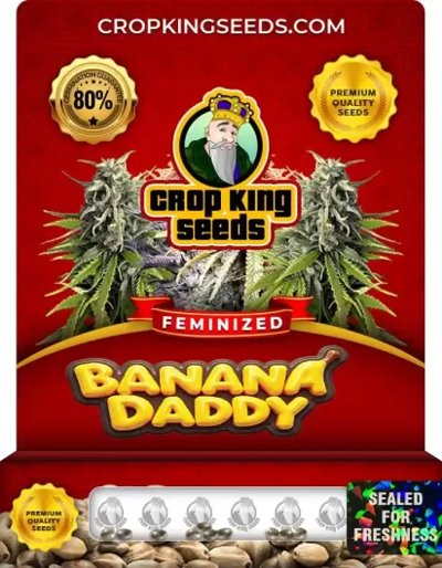Banana Daddy