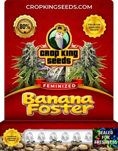 banana-foster-image