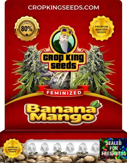 banana-mango-image