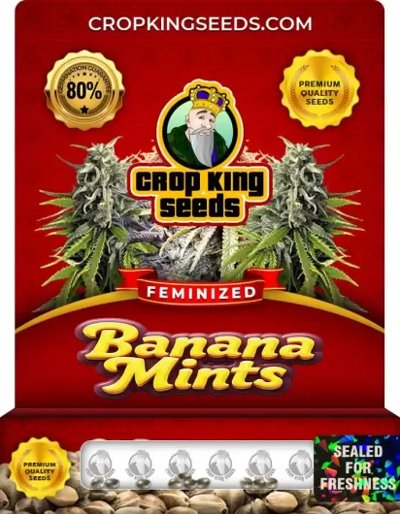 Banana Mints