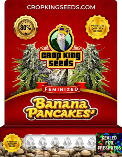 banana-pancakes-image