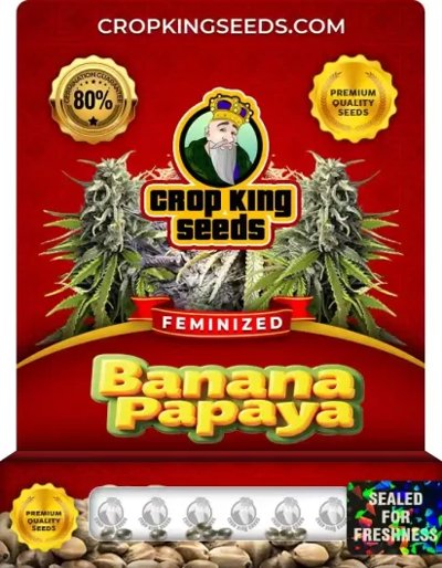 Banana Papaya