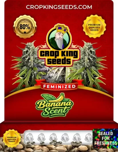 banana-scent-image