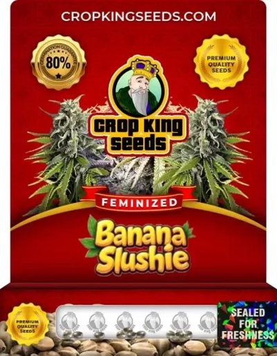 Banana Slushie