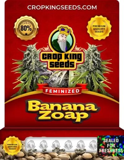 Banana Zoap