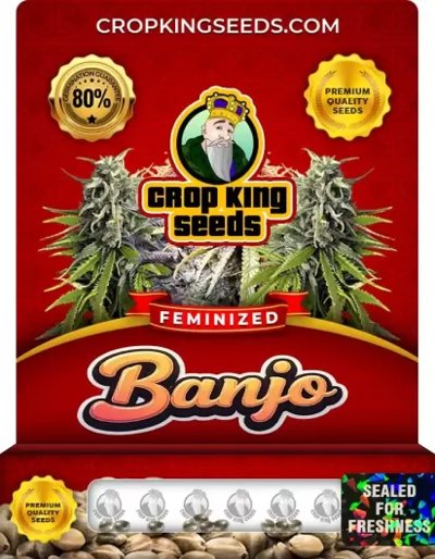 Banjo