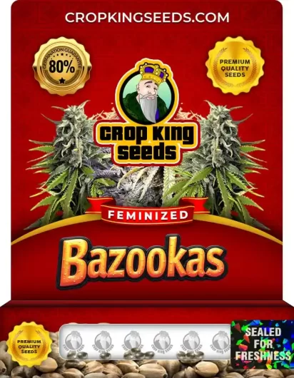 bazookas-image