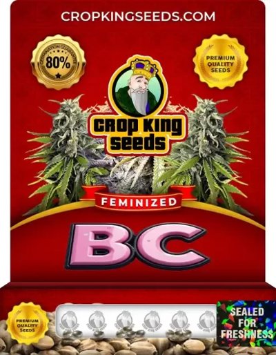 BC